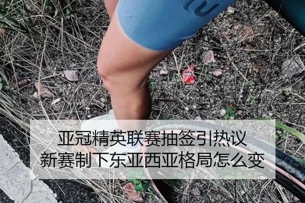 亚冠精英联赛抽签引热议 新赛制下东亚西亚格局怎么变